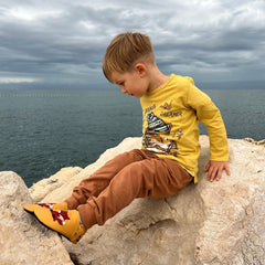 Liliputi Love Pantofi Soft Paws - Silent Birds